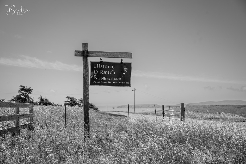 The Historic ‘D’ Ranch